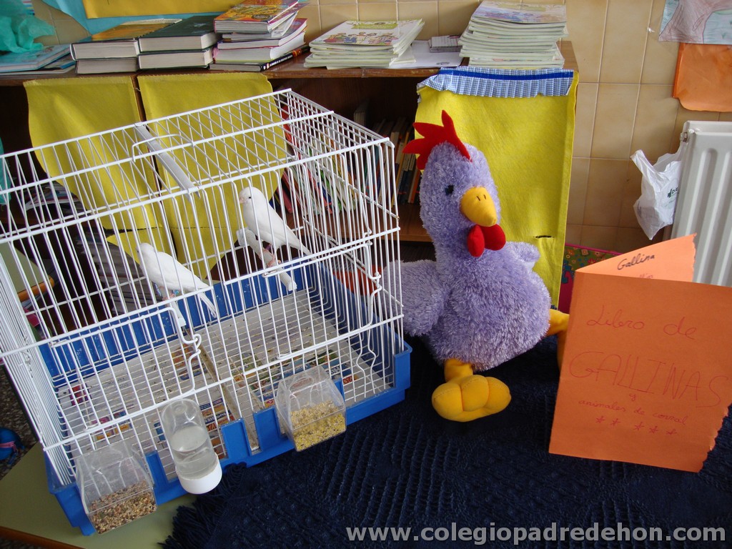 Feria animales 201100014