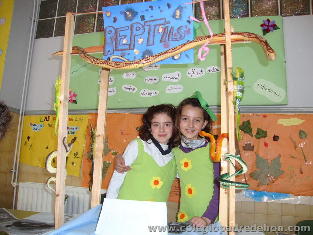 Feria animales 201100016