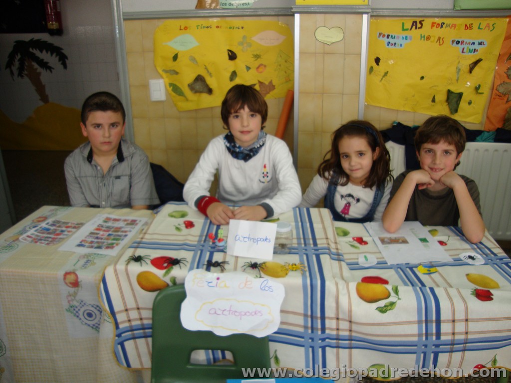 Feria animales 201100018