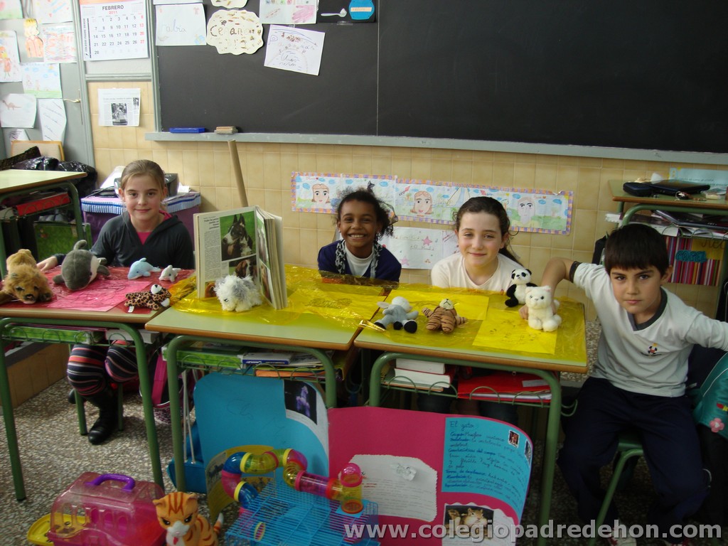 Feria animales 201100019