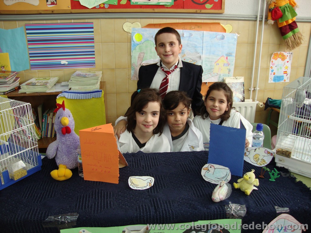 Feria animales 201100023