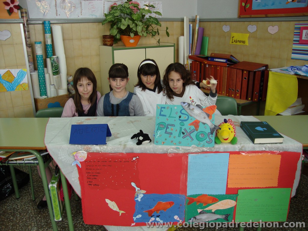 Feria animales 201100024