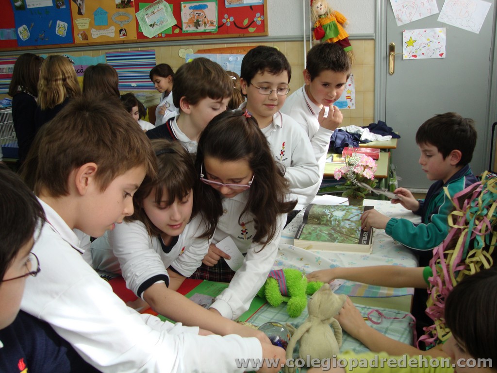 Feria animales 201100035