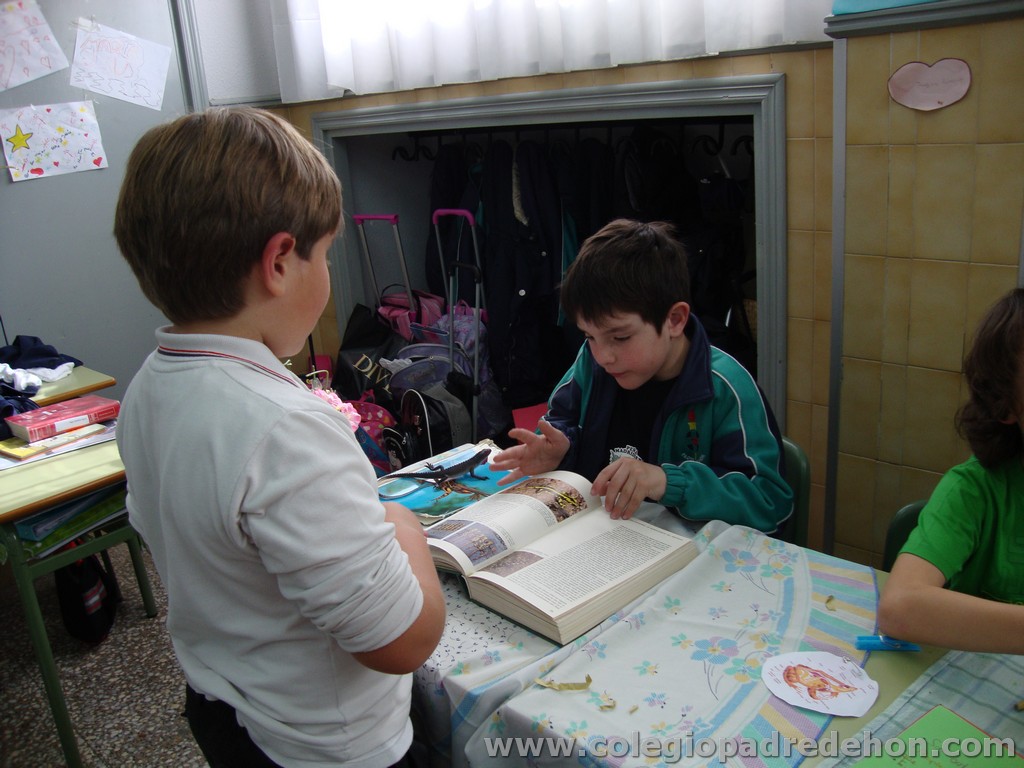 Feria animales 201100036