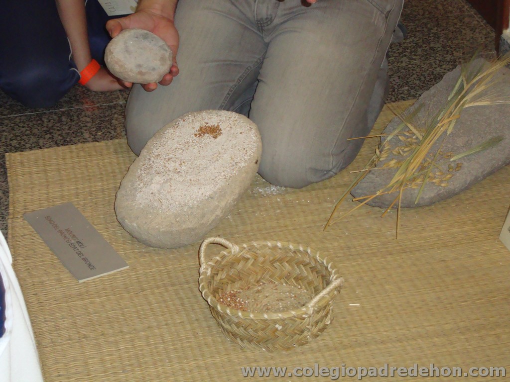 Visita ayunt 201100062