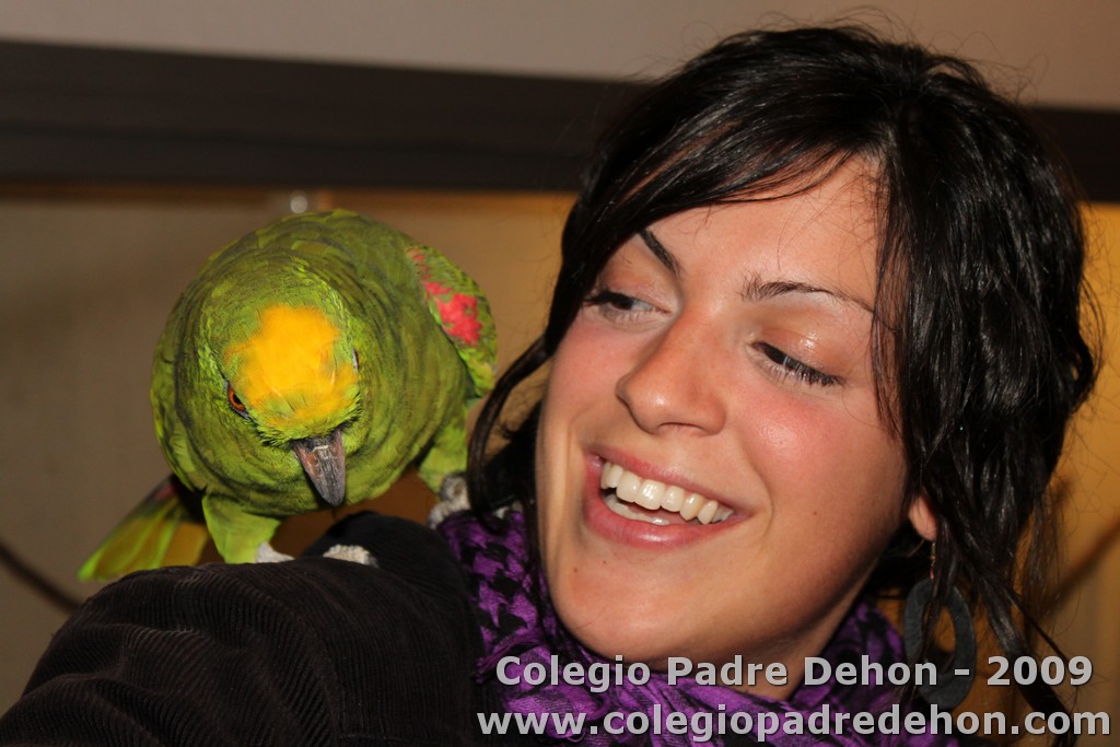 Encuentro jovenes09000087