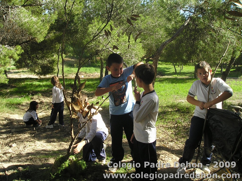 Convivencia 3 pri000012