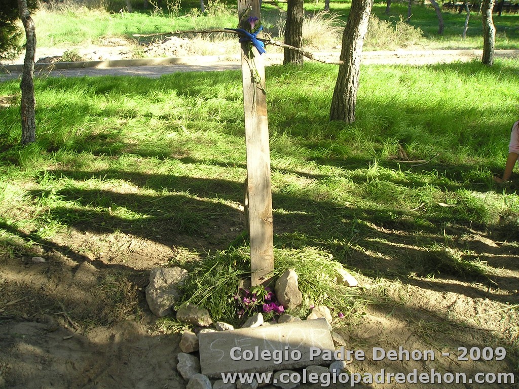 Convivencia 3 pri000051