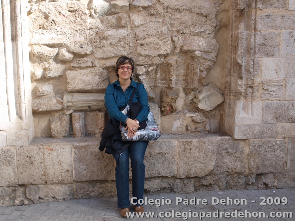 Visita valencia prof 09000085