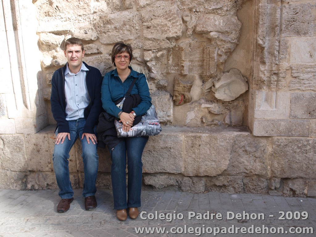 Visita valencia prof 09000087