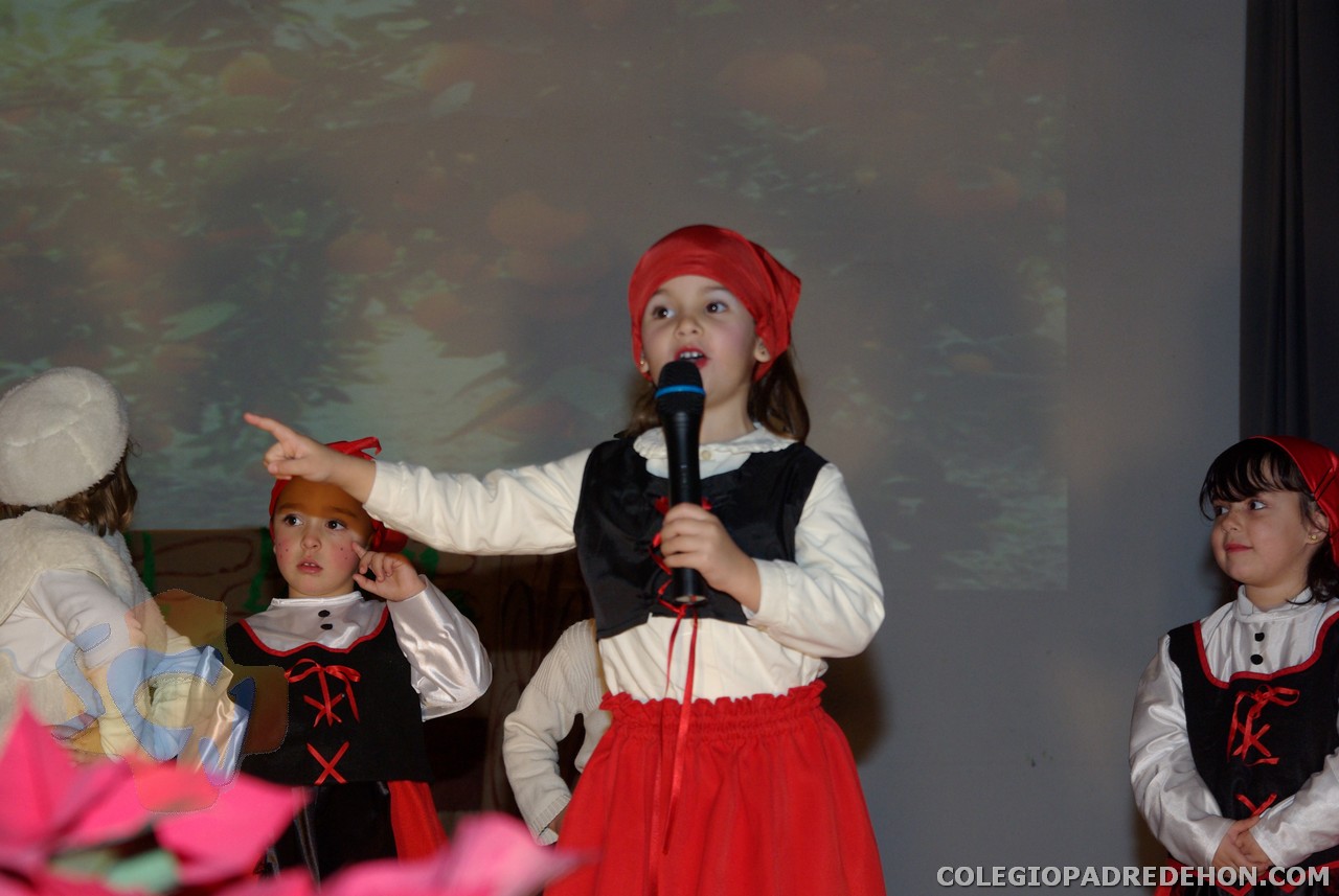 Certamen 2 inf 2008 00020