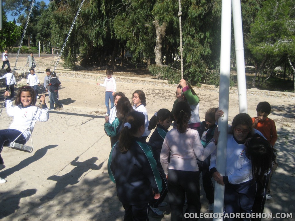 Convi primaria 2008 00015