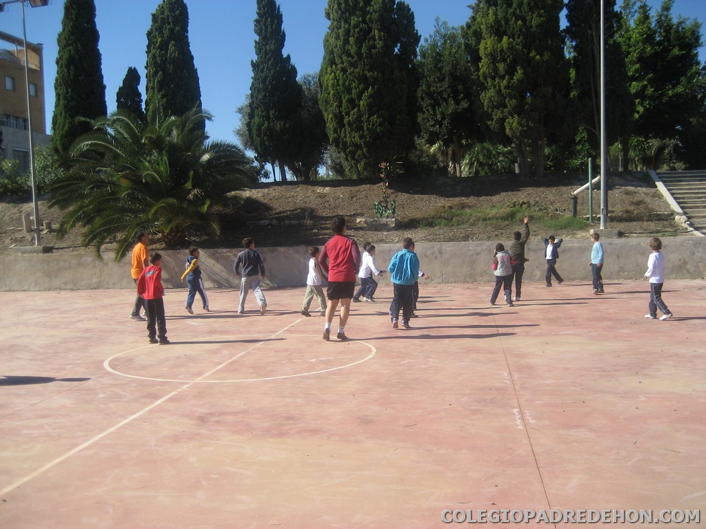 Convi primaria 2008 00019