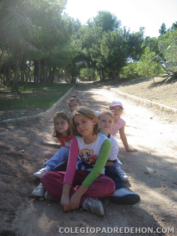 Convi primaria 2008 00025