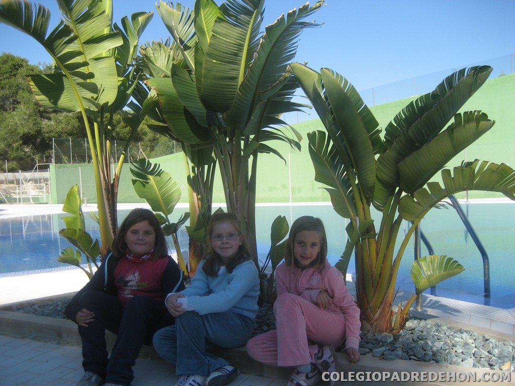 Convi primaria 2008 00027