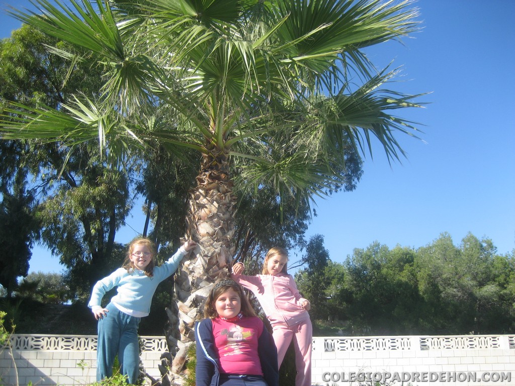 Convi primaria 2008 00028