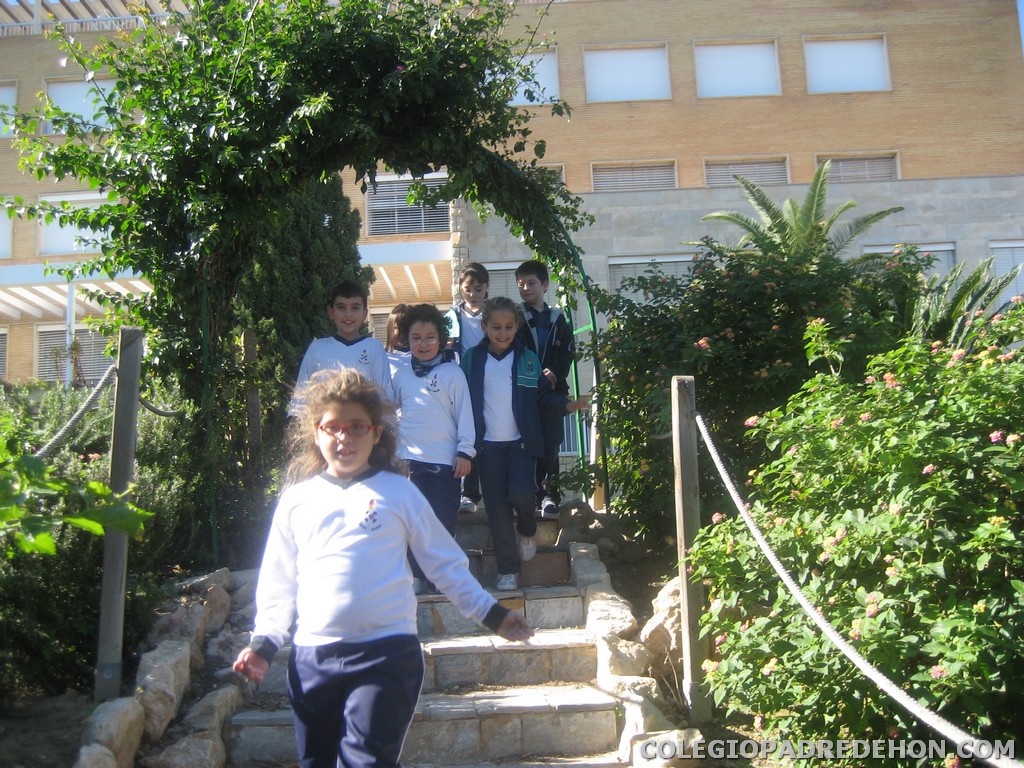 Convi primaria 2008 00048