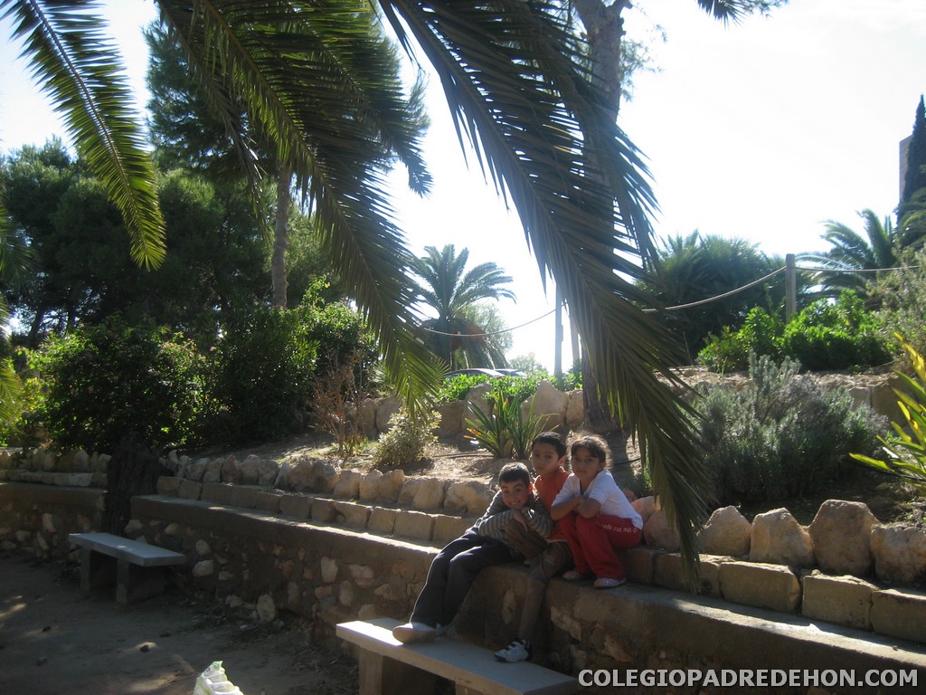 Convi primaria 2008 00058