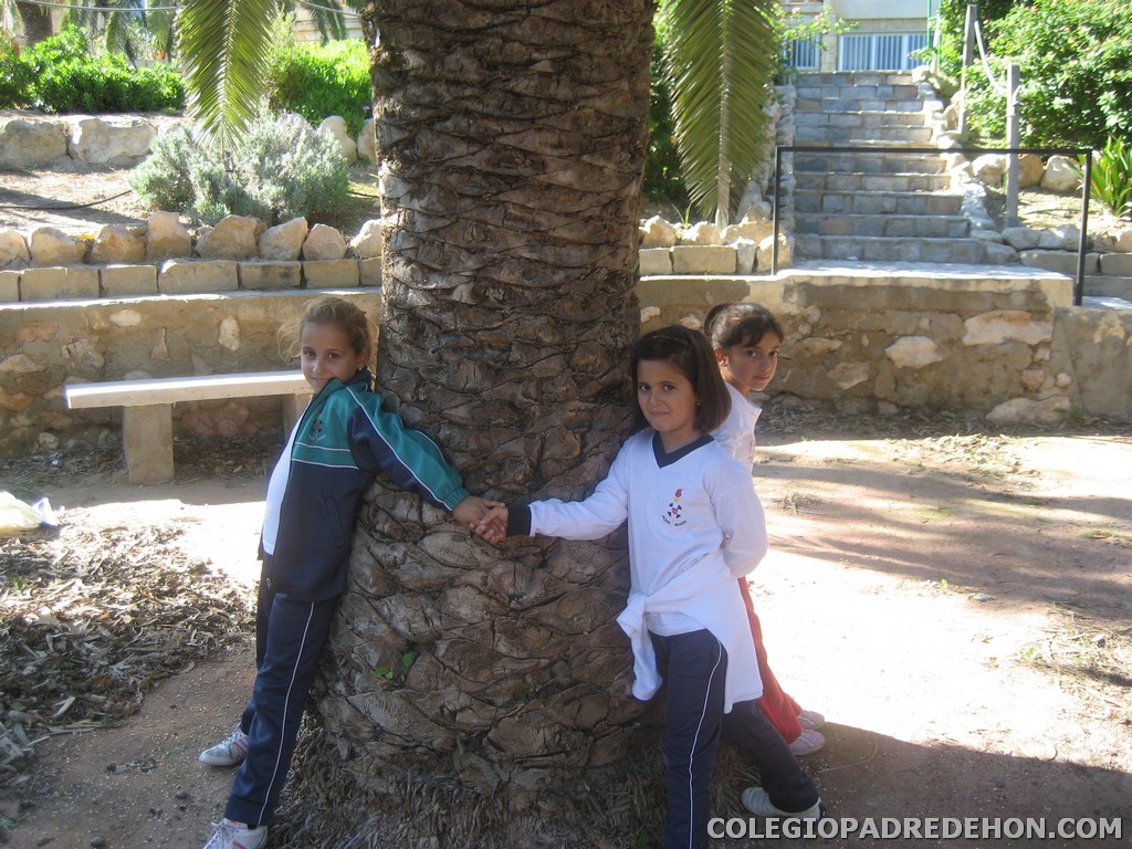 Convi primaria 2008 00059