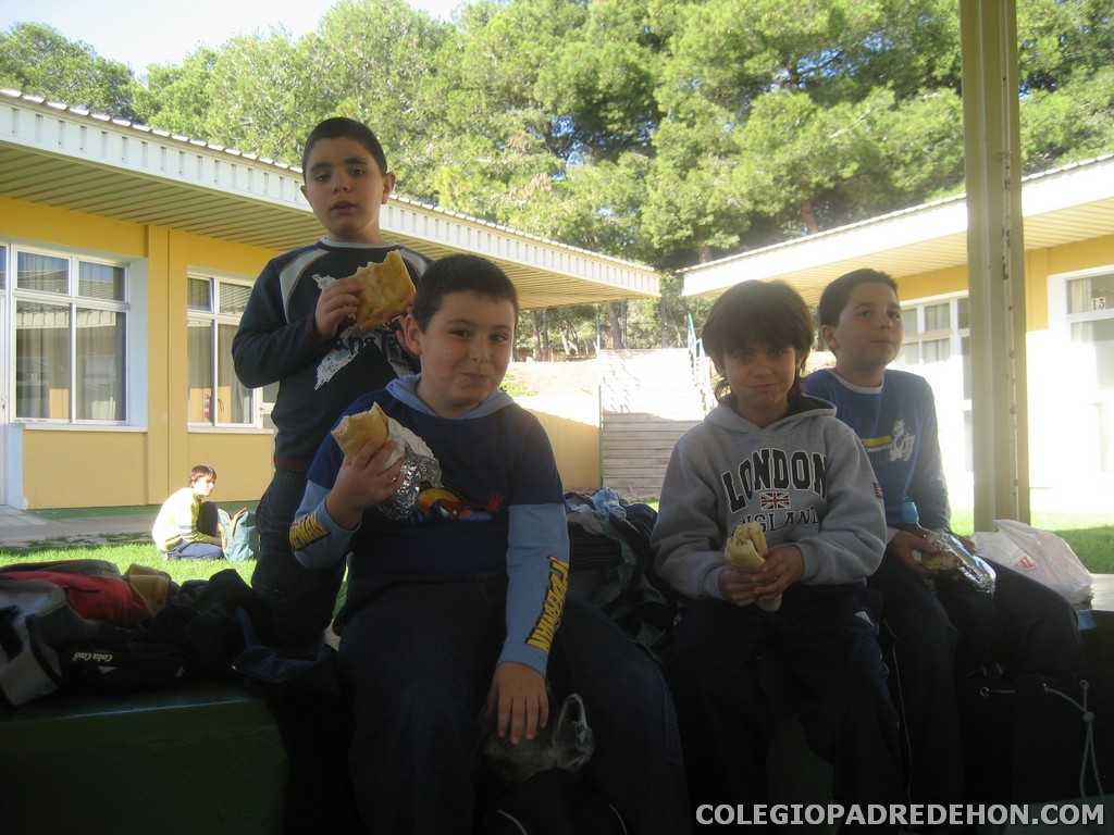 Convivencias 4 primaria 2008 00031