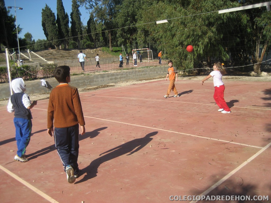 Convivencias 4 primaria 2008 00082