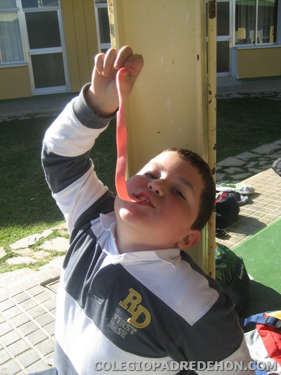 Convivencias 4 primaria 2008 00113